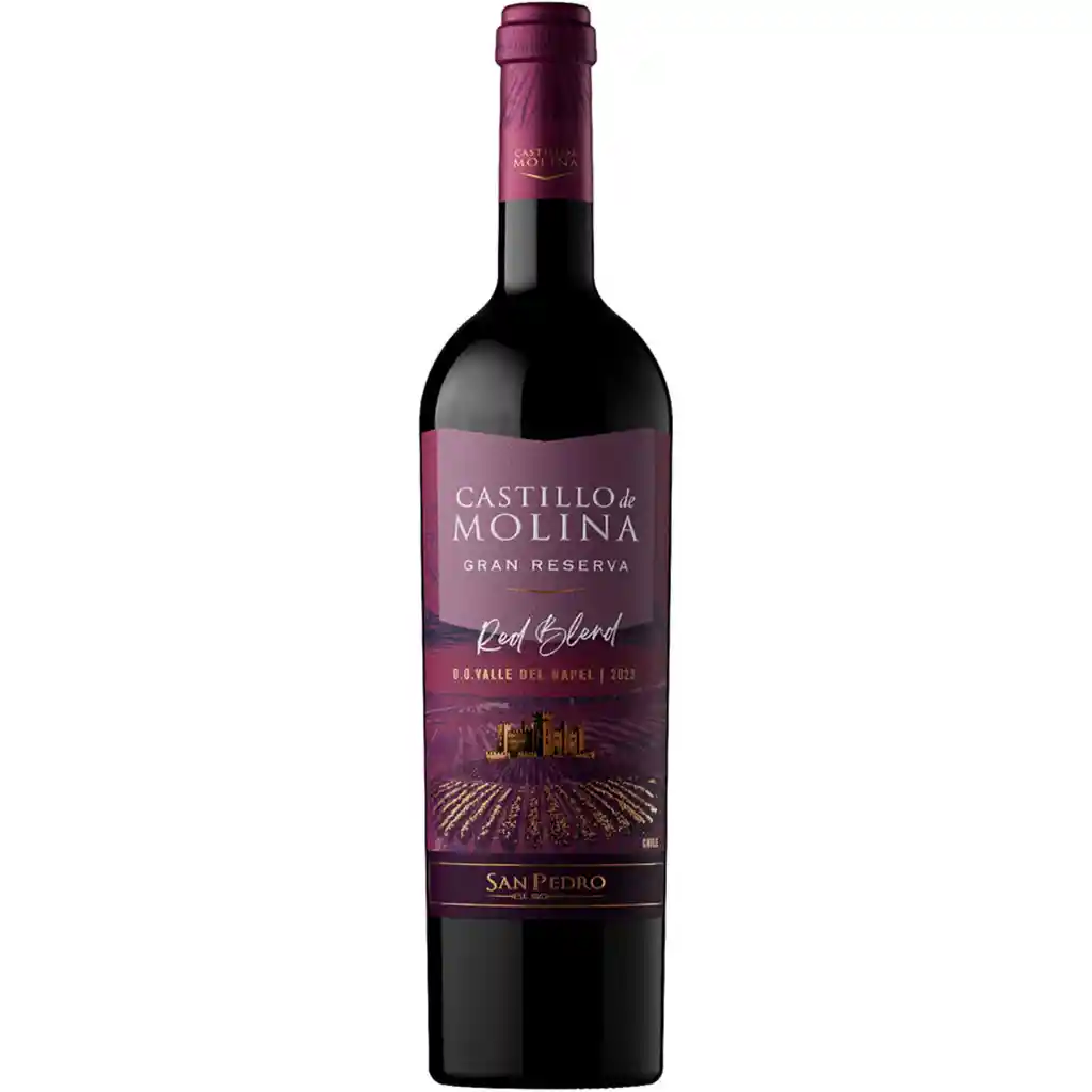 Vino Castillo de Molina R Blend 13.5° 750 cc
