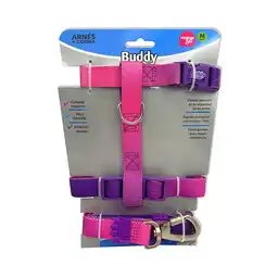 Buddy Pet Set Arnés y Correa M