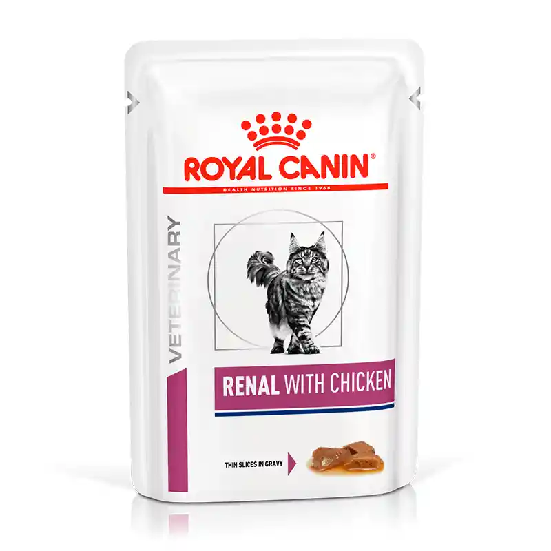 Royal Canin Alimento para Gato Adulto Renal 
