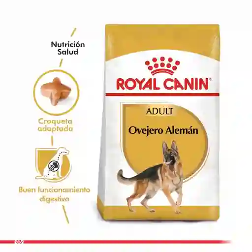 Royal Canin Alimento Para Perro Adulto German Shepherd Adult