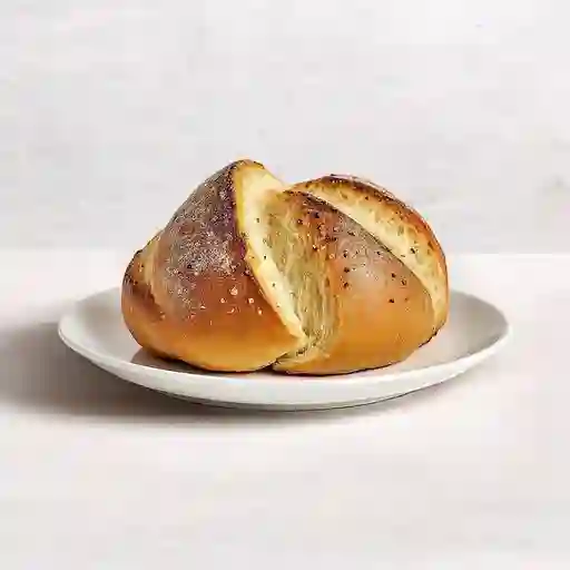 Molde Integral Semilla