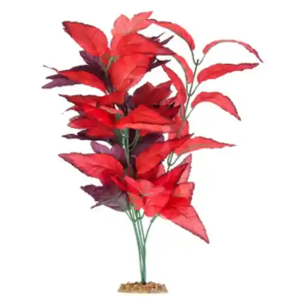 Imagitarium Red Fire Silk Planta de Seda Roja  Acuario