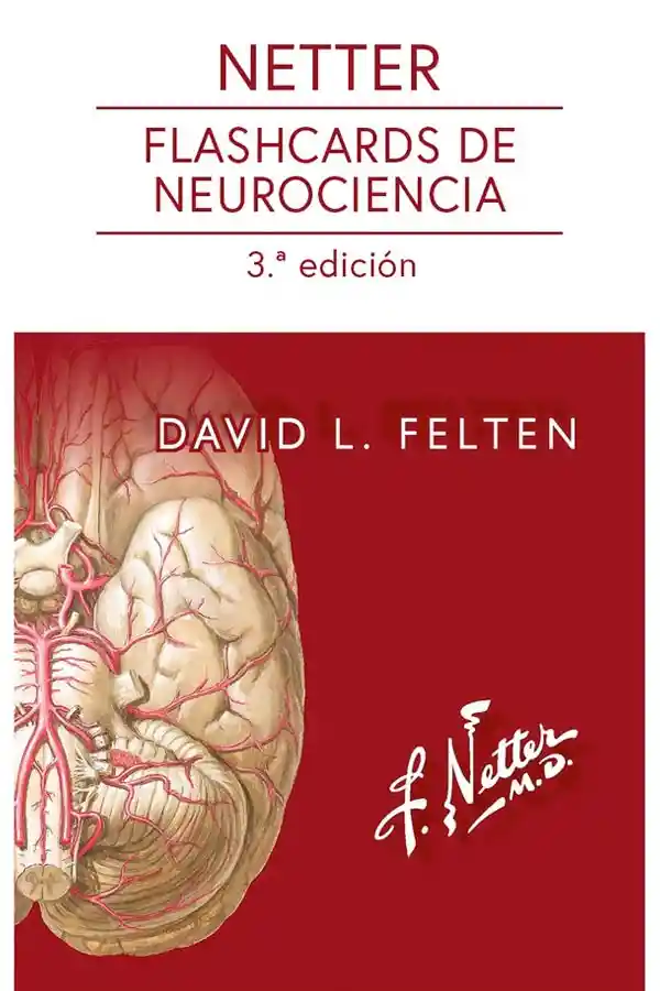 Netter. Flashcards De Neurociencia 3ª Ed.