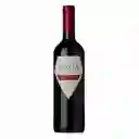 San Jose De Apalta Vino