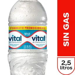 Vital Sin Gas 2,5 Lt