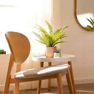 Maceta Dos Tonos Con Cactus Verde 13 cm