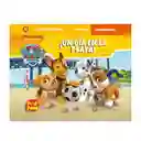 Col. Pop Paw-4 Titulos Guadal