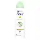 Dove Antitranspirante Go Fresh con Pepino y Té Verde en Spray