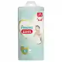 Pampers Pañales Pants Premium Care Talla G