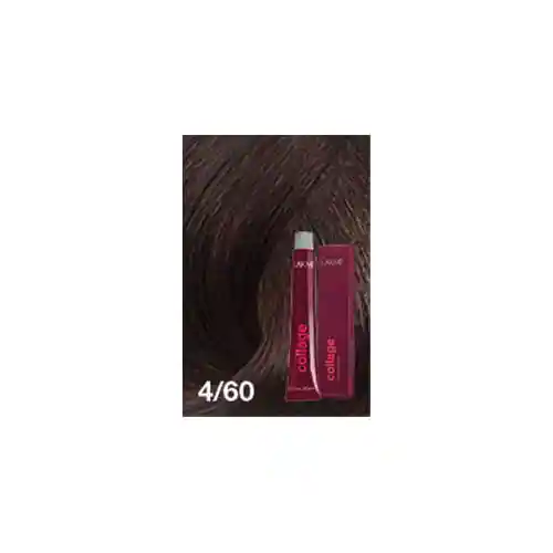 Lakmé Tinte Permanente 4/60 Chesnut Medium Brown 60 Ml