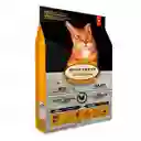 Oven-Baked Alimento para Gato Cat Senior Pollo