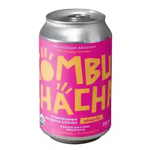 Kombucha Frambuesa