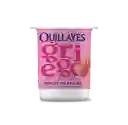 Quillayes Yogurt Griego Sin Azúcar Con Frutilla 110 g