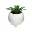 Maceta Redonda Con Cactus Decorativo Blanco