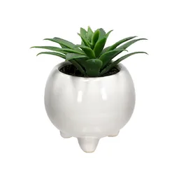 Maceta Redonda Con Cactus Decorativo Blanco