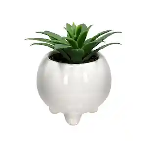 Maceta Redonda Con Cactus Decorativo Blanco