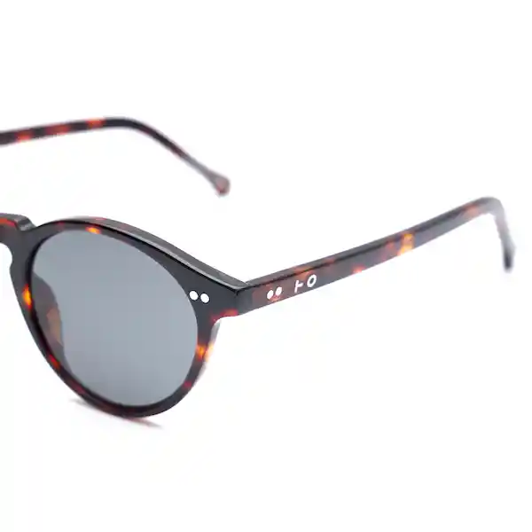 Lentes de Sol Clint Dark Tortoise Inztinto