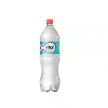 Agua Vital Singas 600Ml