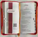 Biblia Rvro 35Cztipjrqr Rojo/Café - Sociedad Biblica Chilena