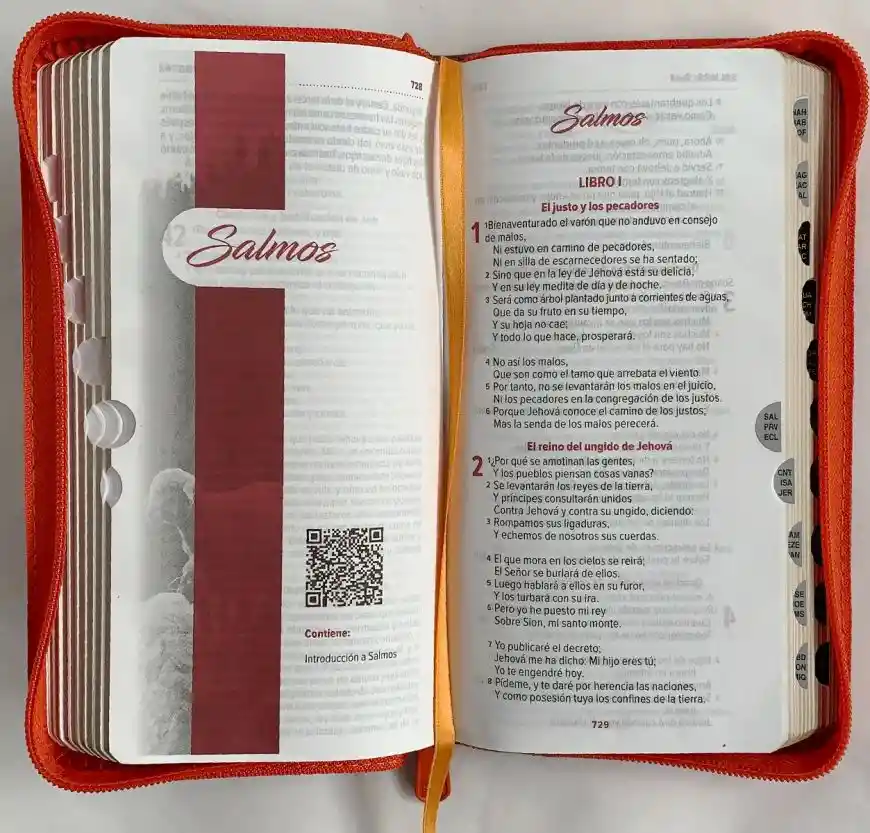 Biblia Rvro 35Cztipjrqr Rojo/Café - Sociedad Biblica Chilena