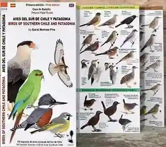 Aves Del Sur de Chile y Patagonia Desplegable (Bilingue)