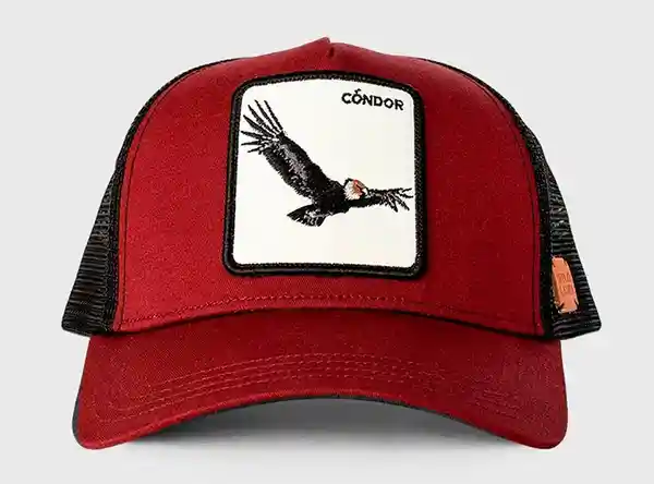 Wild Lama Condor Gorra Jockey Burgundy