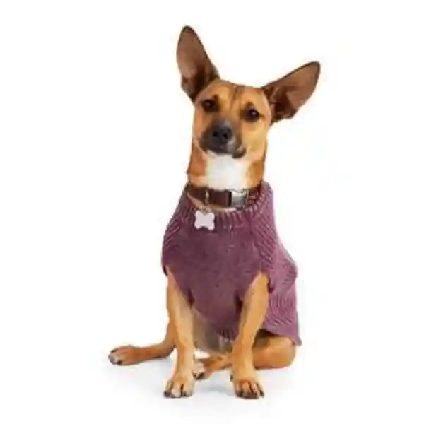 Reddy Winter Suéter Snow Para Perro Color Morado Grande