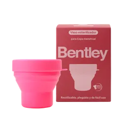 Bentley Vaso Esterilizador