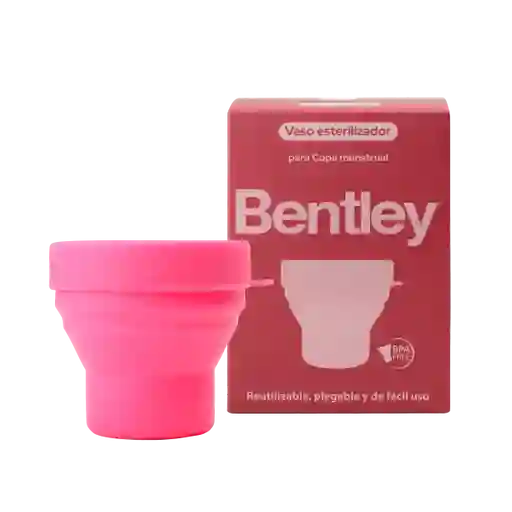 Bentley Vaso Esterilizador