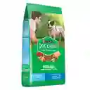 Dog Chow Alimento Seco para Perro Sano y en Forma