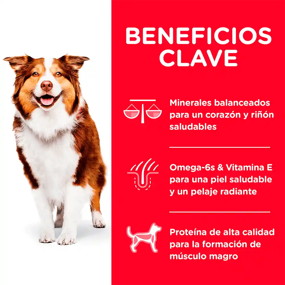 Hill's Alimento para Perro Canine Mature Active