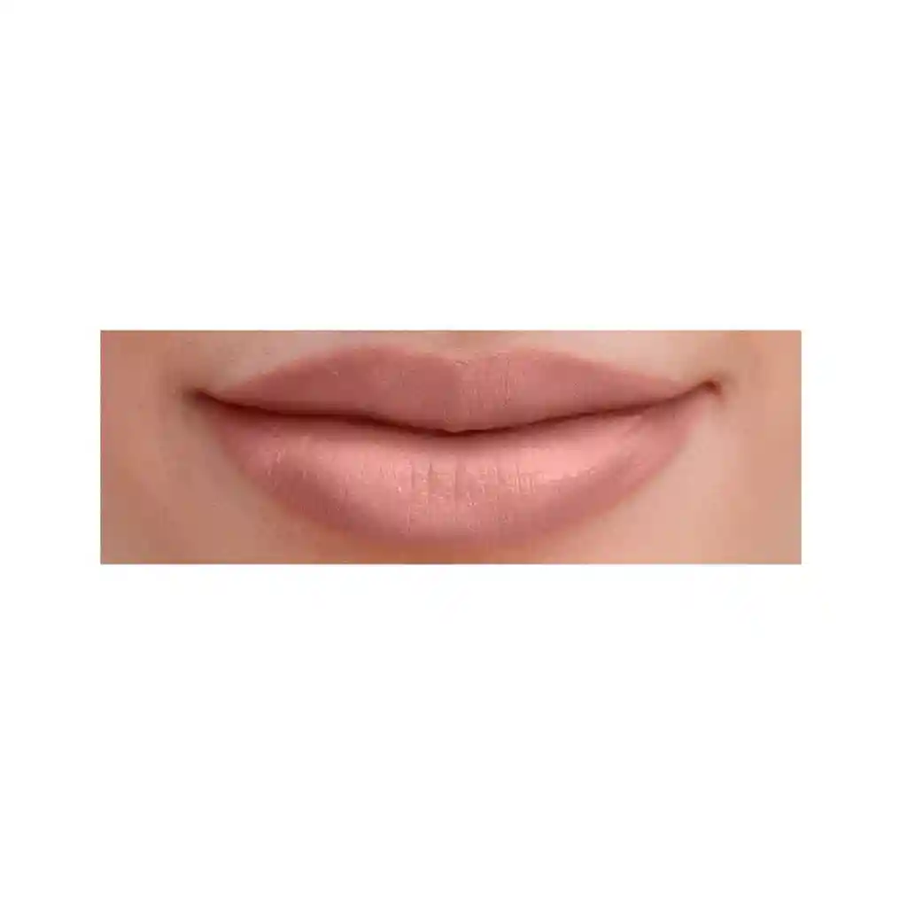 Burt's Bees: lapiz labial humectante #500 nile nude