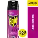 Insecticida Raid Mata Todo Insectos Aerosol 360 cc