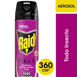 Insecticida Raid Mata Todo Insectos Aerosol 360 cc