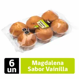 Pulmahue Magdalena Sabor Vainilla 