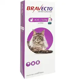 Bravecto Pipeta Gatos 6.25 - 12.5kg