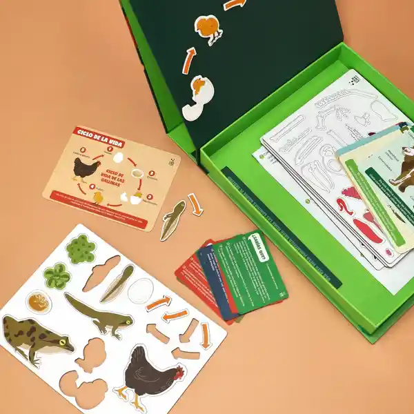 Kit Juguete Magnéticos Mundo Animal