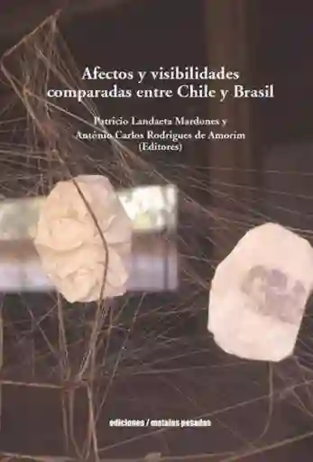 Afectos y Visibilidades Comparadas Entre Chile y Brasil