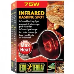 Exo Terra Ampolleta Infrarroja 75W