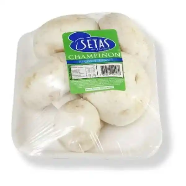 Champinon Blanco