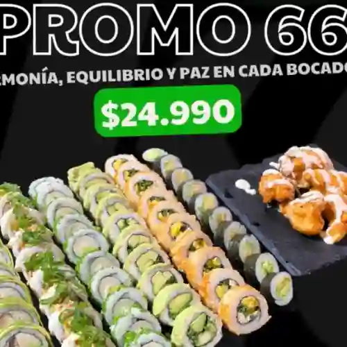 Promo 66