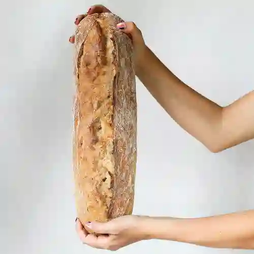 Pan Ciabatta