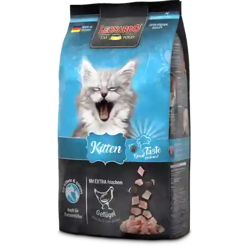 Leonardo Alimento Gatos Kitten
