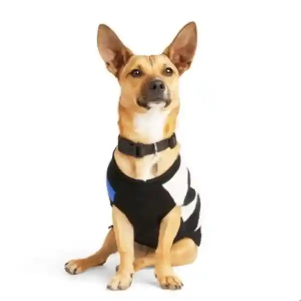 Youly Suéter Azul Con Negro Estilo Rayado Para Perro X-Grande