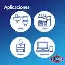 Clorox Toalla Desinfectantes Expert Fresco