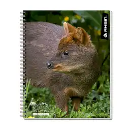 Rhein Cuaderno Nativo Universal