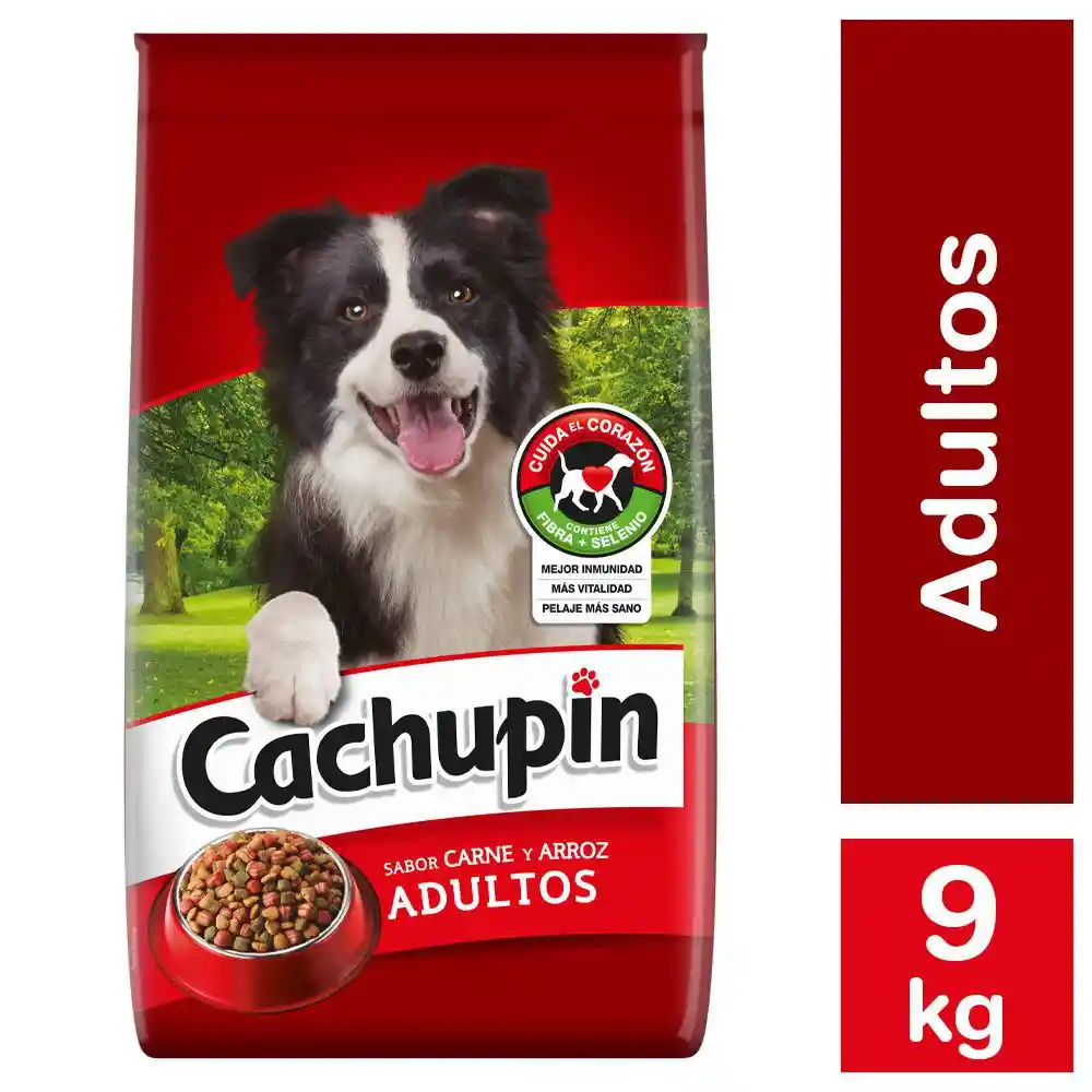 Cachupin Alimento para Perro Adulto Sabor a Pollo con Arroz
