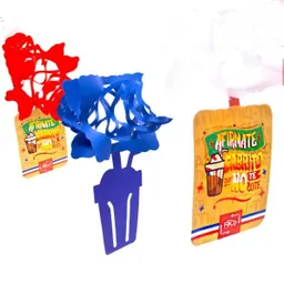 Guirnalda Chile Terremoto