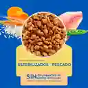 Cat Chow Alimento para Gatos