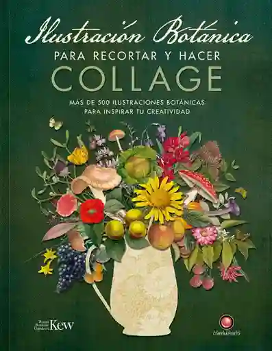 Ilustración Botánica Para Recortar y Hacer Collage - Contrapunto